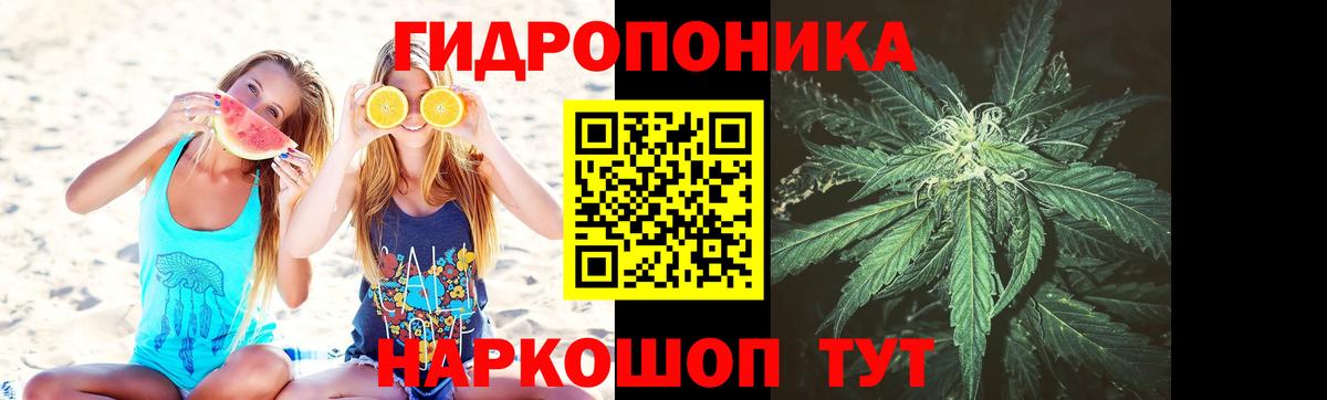 ГАШ  Cocaine  Лсд 25  Каннабис  Купить закладку  НБОМе  Острогожск  Вход с VPN  Меф  